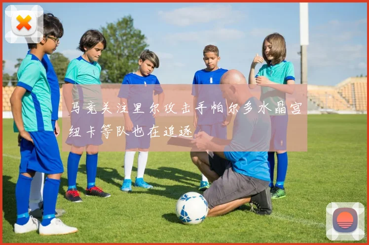 马竞关注里尔攻击手帕尔多水晶宫纽卡等队也在追逐