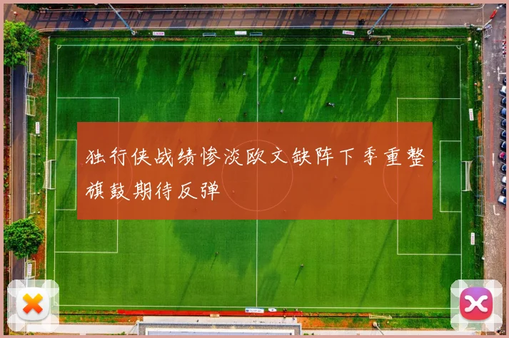 独行侠战绩惨淡欧文缺阵下季重整旗鼓期待反弹